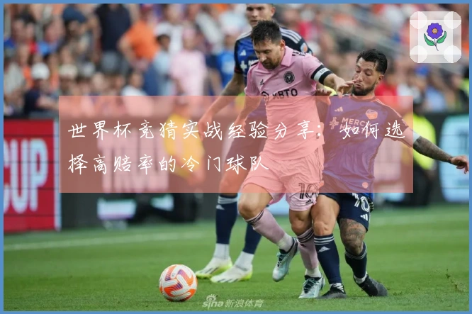 世界杯竞猜实战经验分享：如何选择高赔率的冷门球队