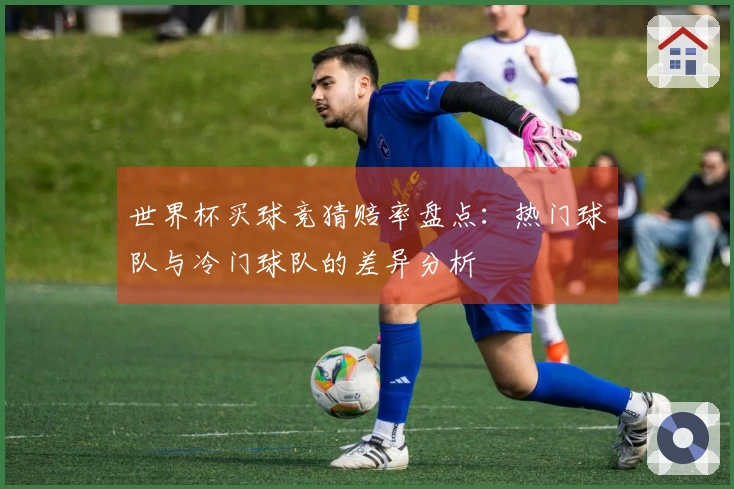 世界杯买球竞猜赔率盘点:热门球队与冷门球队的差异分析