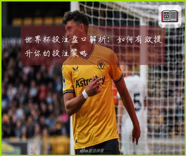 世界杯投注盘口解析：如何有效提升你的投注策略