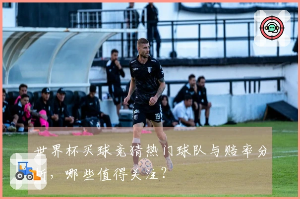 世界杯买球竞猜热门球队与赔率分析，哪些值得关注？