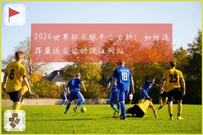 2026世界杯买球平台分析：如何选择最适合你的投注网站