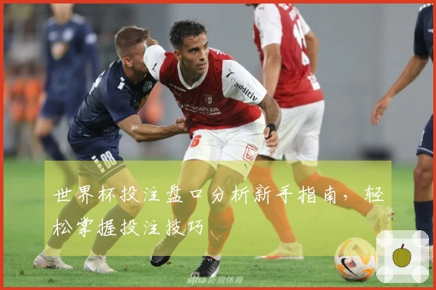 世界杯投注盘口分析新手指南，轻松掌握投注技巧
