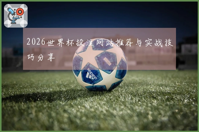 2026世界杯投注网站推荐与实战技巧分享