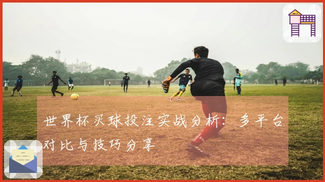 世界杯买球投注实战分析：多平台对比与技巧分享