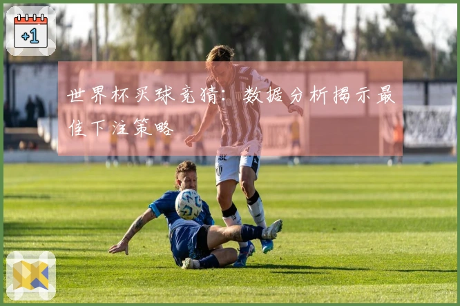 世界杯买球竞猜：数据分析揭示最佳下注策略