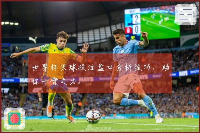世界杯买球投注盘口分析技巧，助你一臂之力。