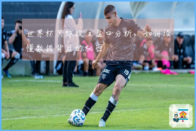 世界杯买球投注盘口分析，如何读懂数据背后的秘密