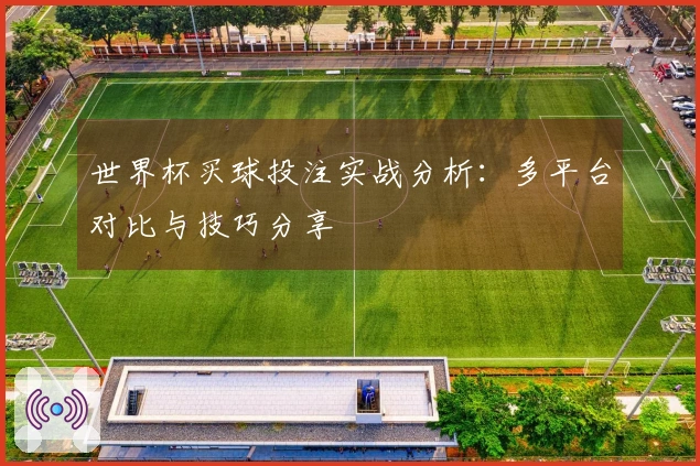 世界杯买球投注实战分析：多平台对比与技巧分享