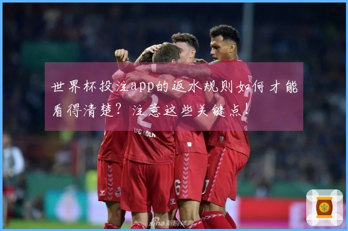 世界杯投注app的返水规则如何才能看得清楚？注意这些关键点！
