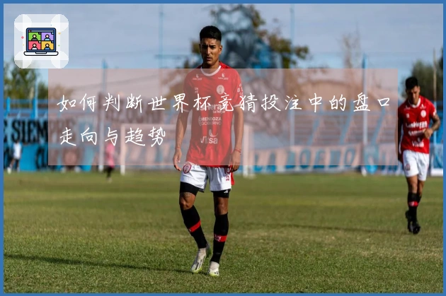 如何判断世界杯竞猜投注中的盘口走向与趋势