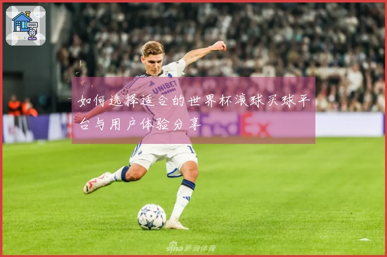 如何选择适合的世界杯滚球买球平台与用户体验分享