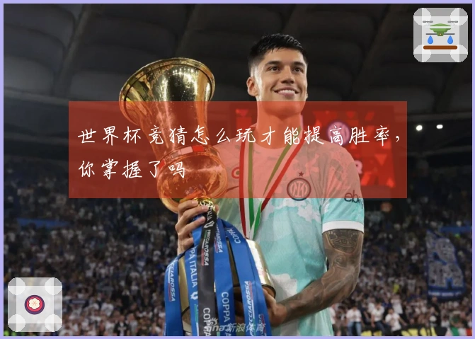 世界杯竞猜怎么玩才能提高胜率，你掌握了吗