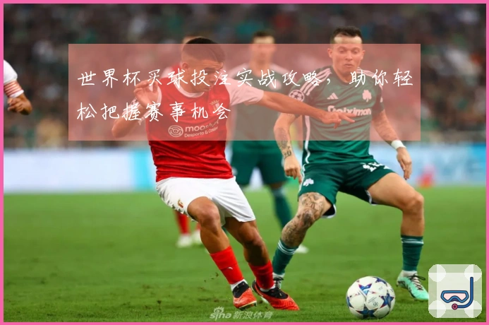 世界杯买球投注实战攻略，助你轻松把握赛事机会