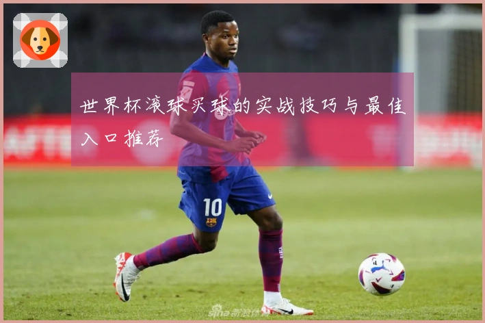 世界杯滚球买球的实战技巧与最佳入口推荐