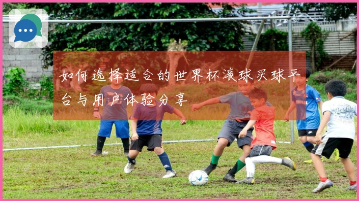 如何选择适合的世界杯滚球买球平台与用户体验分享