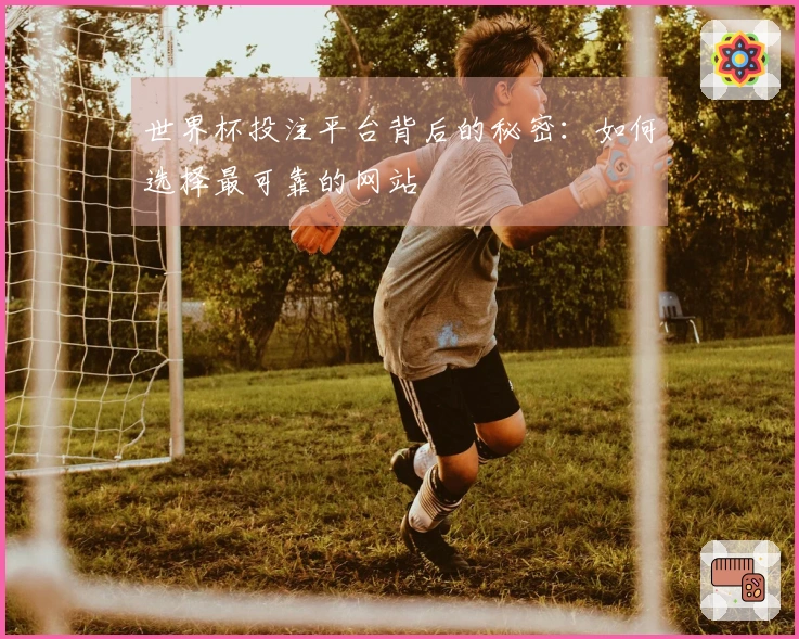 世界杯投注平台背后的秘密：如何选择最可靠的网站
